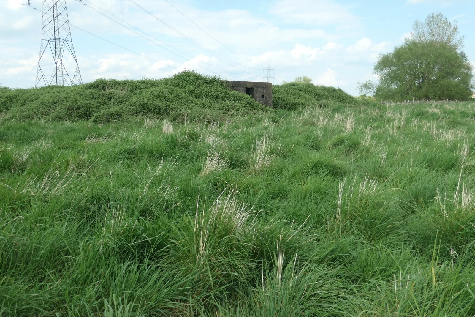 Hidden West Bank